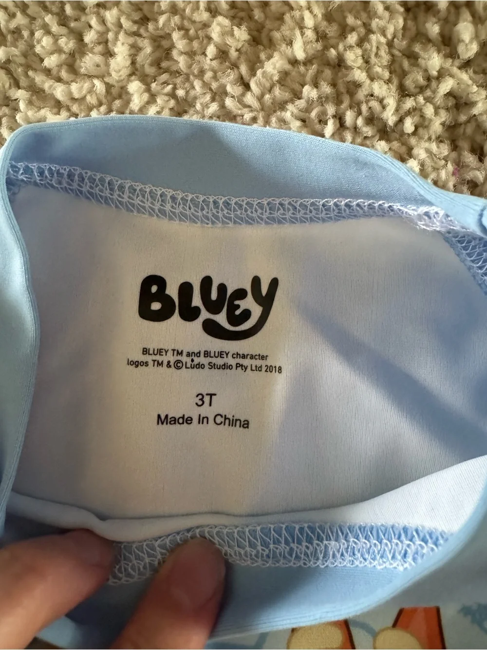 NWT Bluey 3T two piece child swim set BRAND NEW